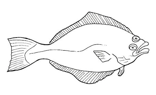 Peces (68).jpg