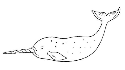 Peces (92).jpg