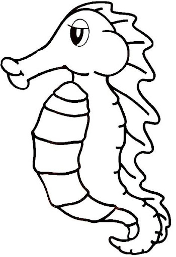 Peces (39).jpg