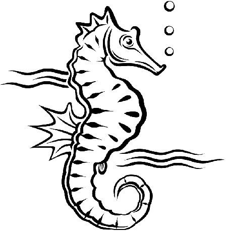 Peces (85).jpg