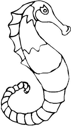 sea horse.jpg
