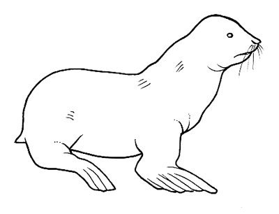 Mamíferos (216).jpg