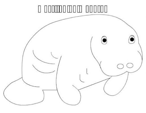 Manatee.jpg