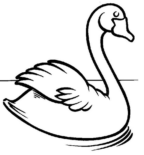 CISNE.gif.jpg