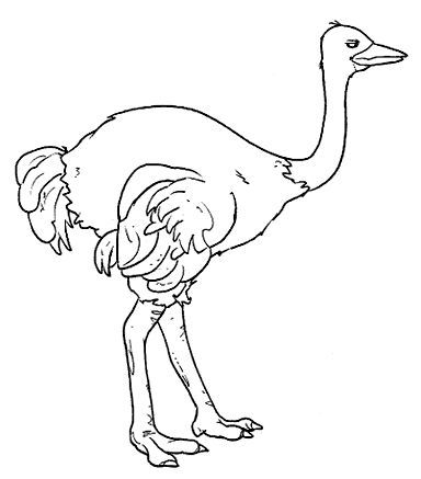 Aves%25252520%25252528100%25252529.jpg