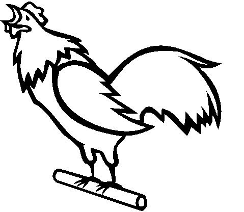 colrooster.jpg