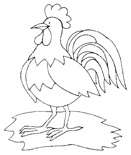 coq21.jpg