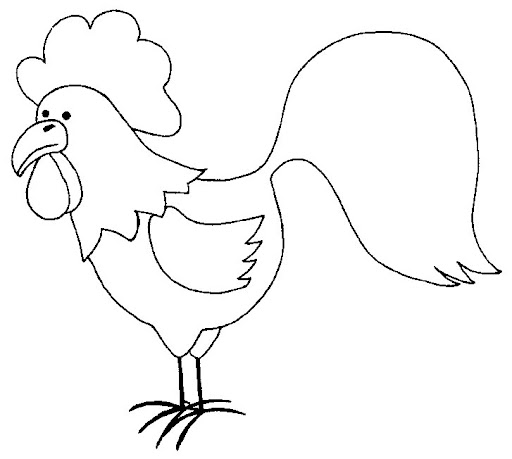 coq22.jpg