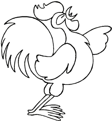 gallo.jpg