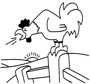 gallo%252525202.jpg