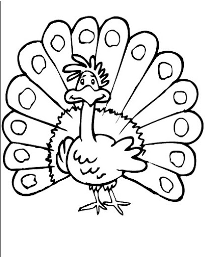 Peacock.jpg