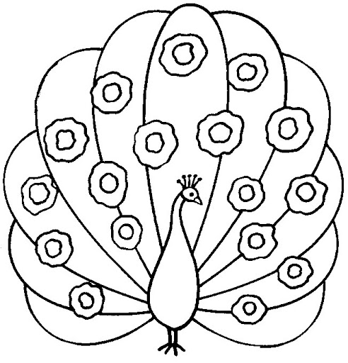 paon4.jpg