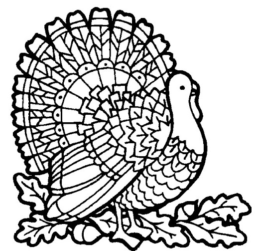 turkey9.jpg