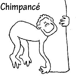 chimpance.jpg