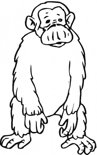 chimpanzee-19-coloring-page.jpg