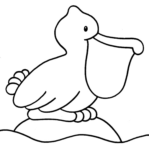 pelican.jpg