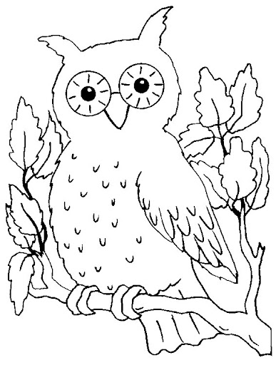 hibou15.jpg