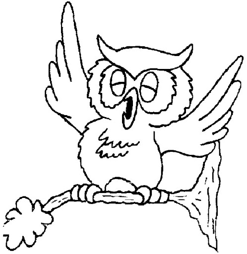 hibou20.jpg