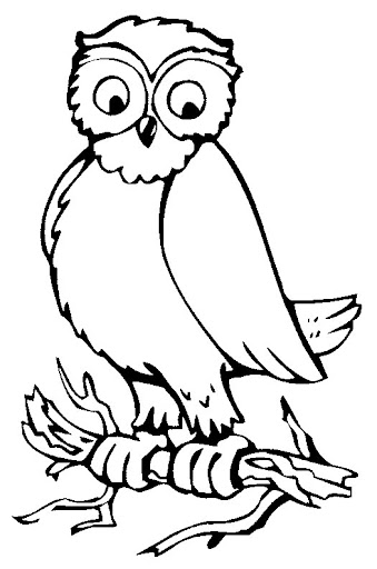 hibou9.jpg