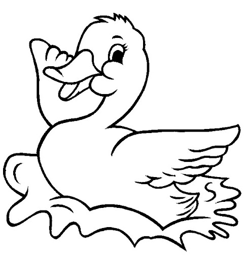 canard26.jpg