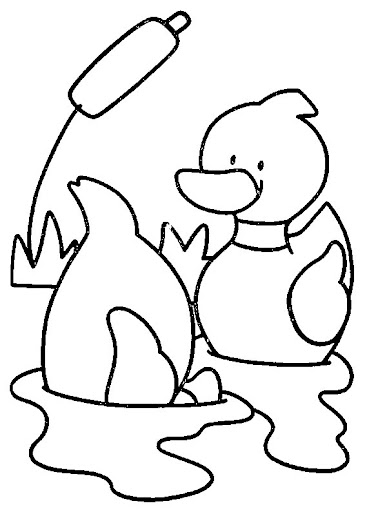 canard29.jpg