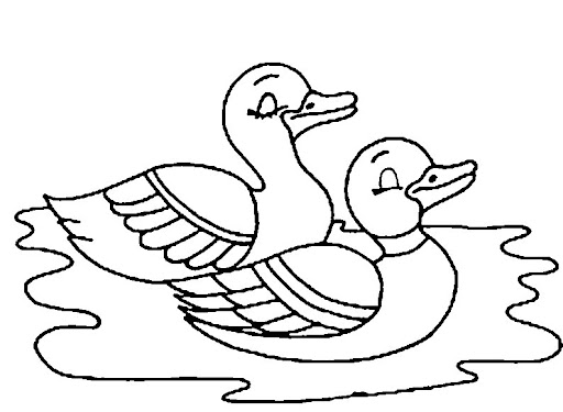 canard38.jpg