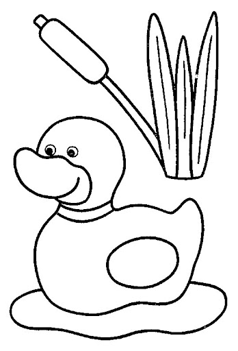 pato%25252520nadando.jpg