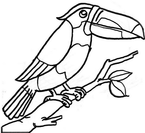 Aves%25252520%2525252825%25252529.jpg