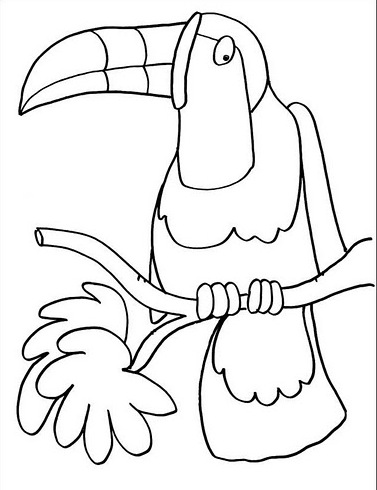 coloriages-perroquets-10%2525255B1%2525255D.jpg