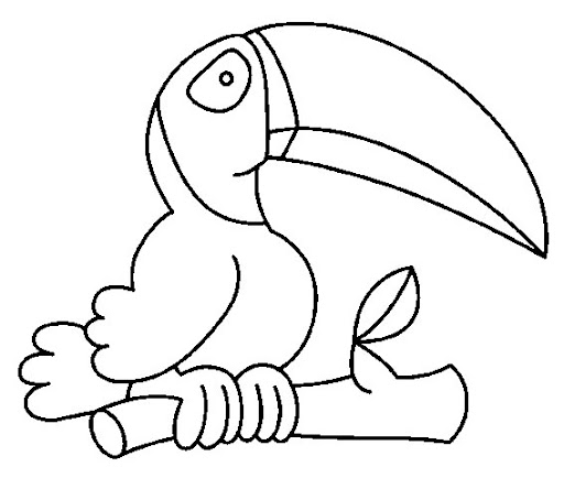 toucan4.jpg