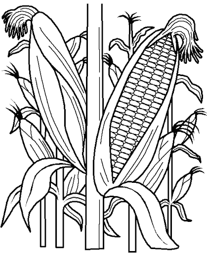 https://desenhosparacolorir.blogspot.com/
