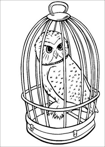 https://desenhosparacolorir.blogspot.com.br/