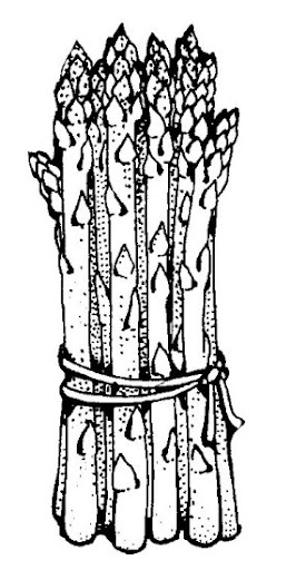esparragos-2.jpg
