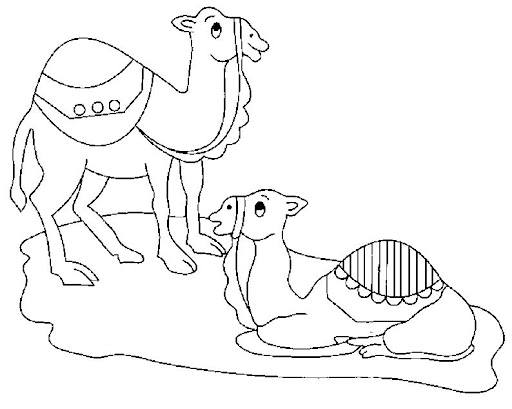 camello6.jpg