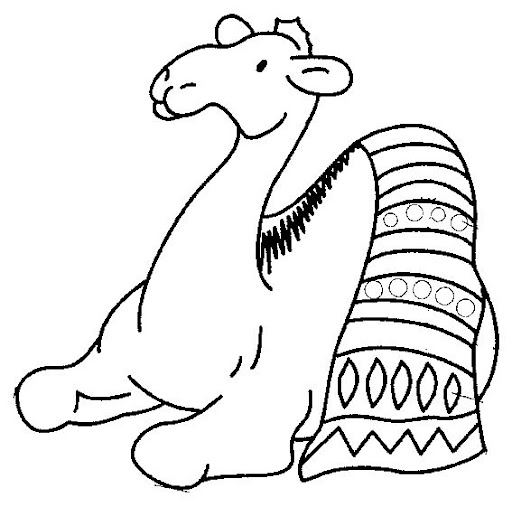 camello7.jpg
