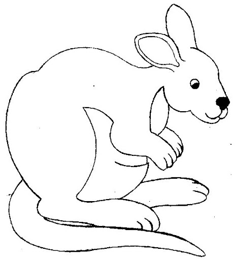 canguro-10.jpg