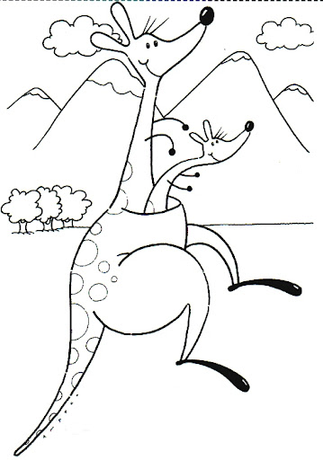 canguro-2.jpg