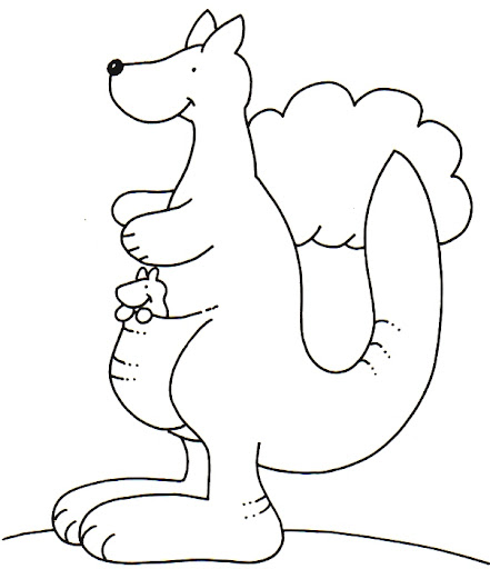 canguro-3.jpg