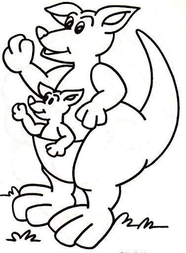 canguro-4.jpg
