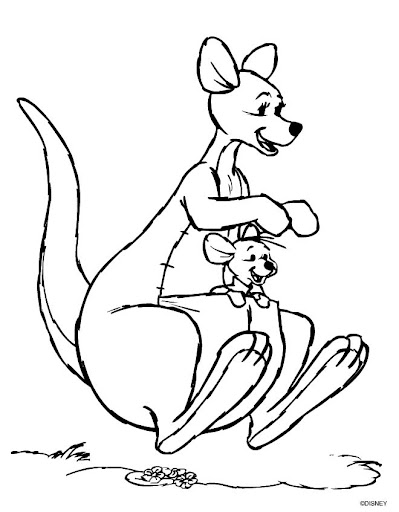 canguro-5.jpg