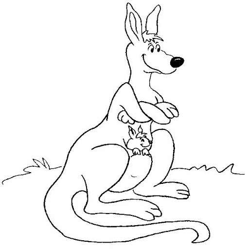 canguro-9.jpg