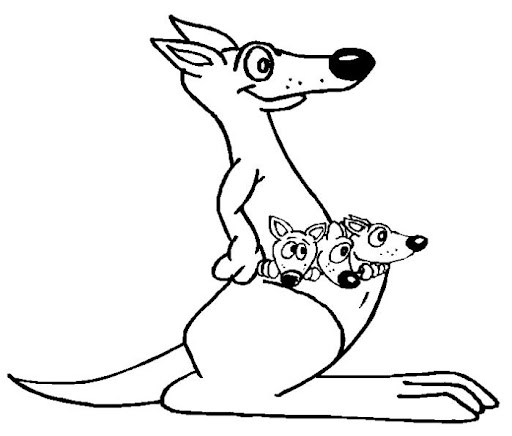 canguro-12.jpg