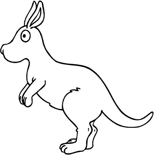 canguro-15.jpg