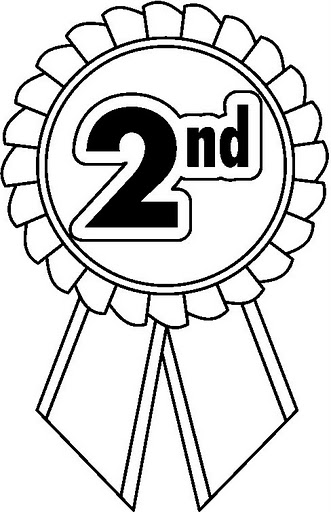 RIBBON_SECOND_BW.jpg