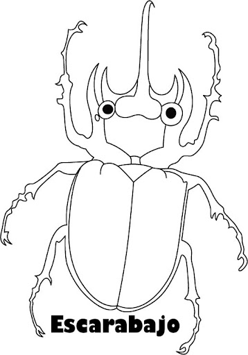 beetle-coloring-page-3.jpg