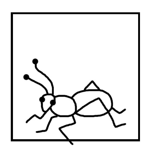 005.jpg