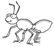 hormiga-2.jpg