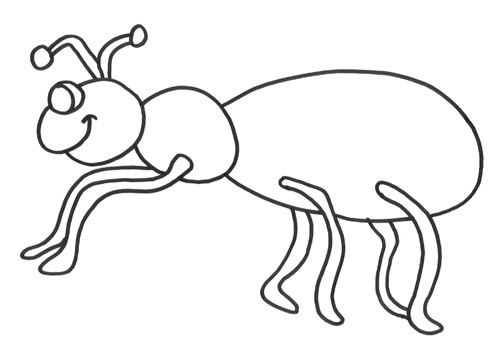 hormiga.2.jpg
