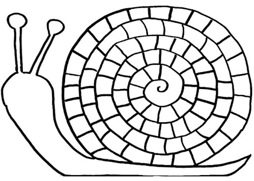 caracol-2.jpg