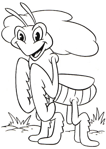 saltamontes_1.jpg